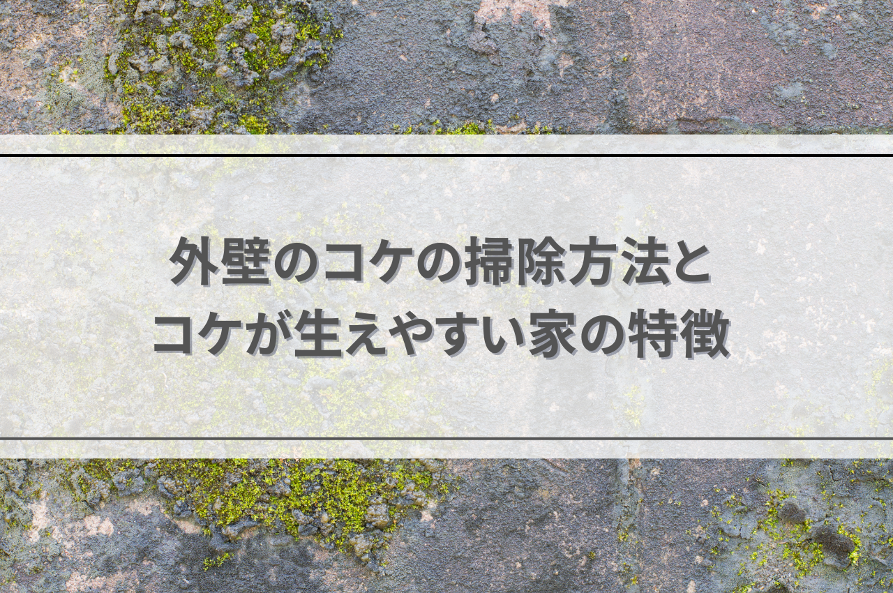 外壁のコケ掃除は自分でできる？効果的な方法とコケが生えやすい家の特徴 画像